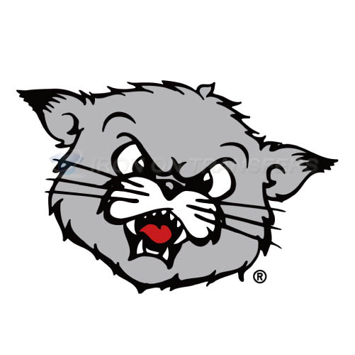 Cincinnati Bearcats Iron-on Stickers (Heat Transfers)NO.4143